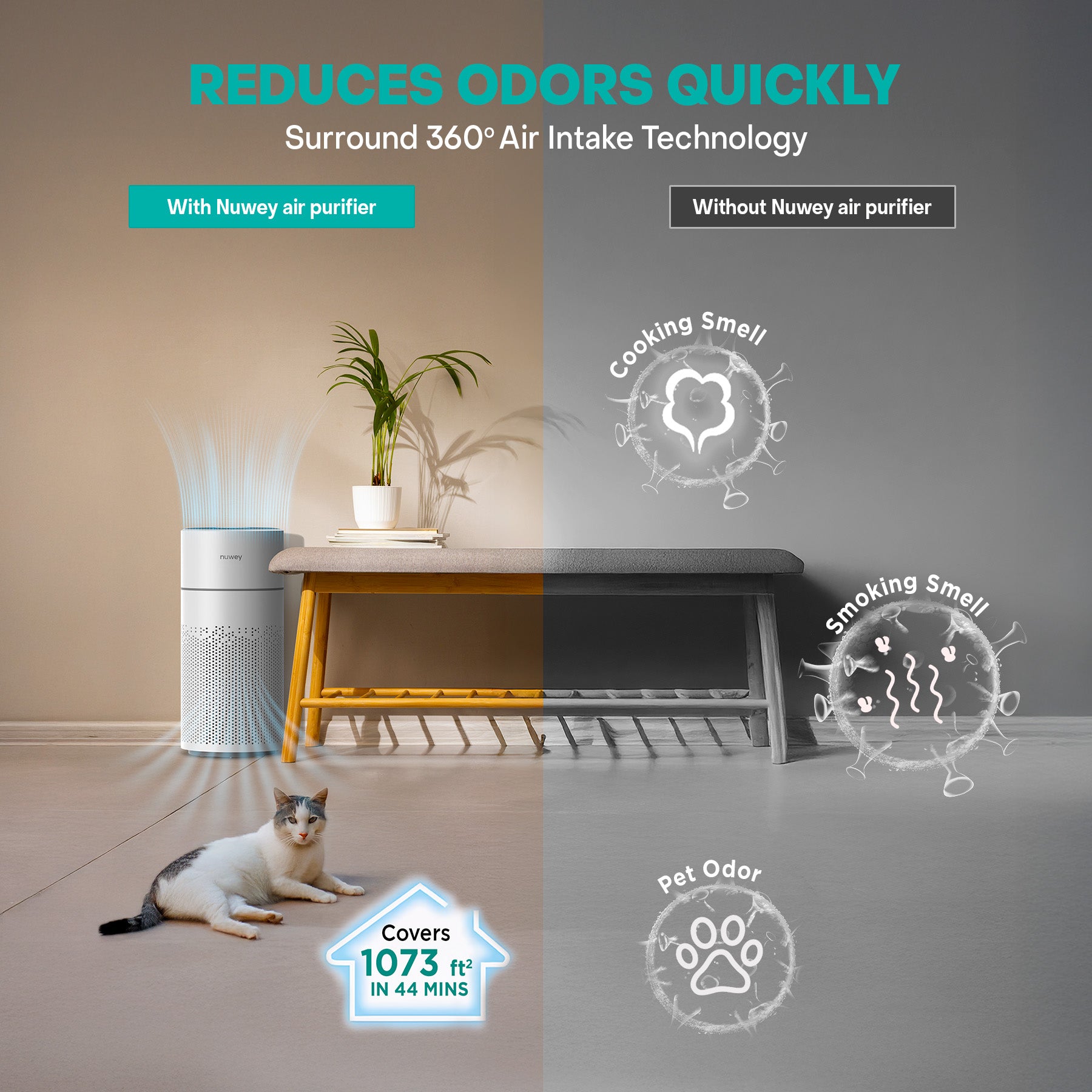 Nuwey Air Pure XL - Air Purifier – Nutricook